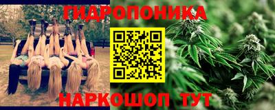 прущие грибы Кингисепп