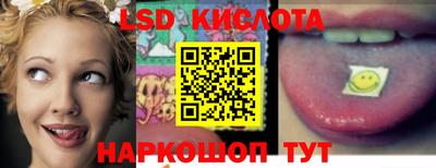 прущие грибы Кингисепп