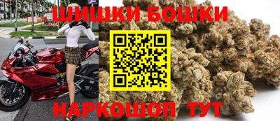 прущие грибы Кингисепп