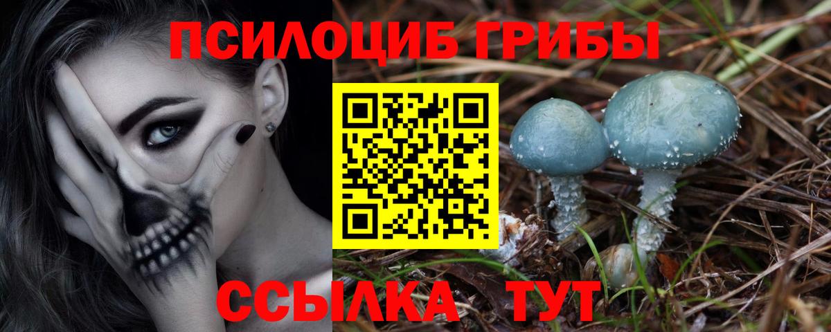 Псилоцибиновые грибы Cubensis  Вход с VPN  Ярославль 